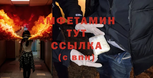 ПСИЛОЦИБИНОВЫЕ ГРИБЫ Вязники