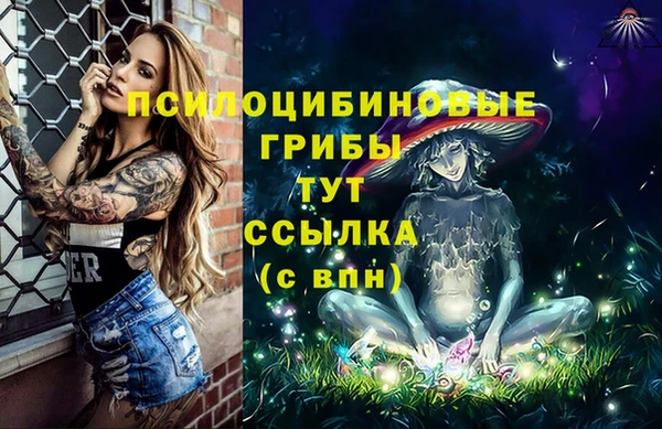 ПСИЛОЦИБИНОВЫЕ ГРИБЫ Вязники