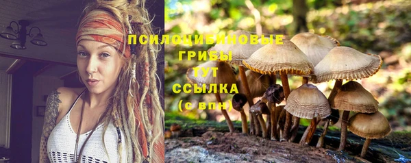 apvp Волосово