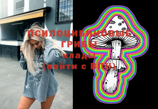 ПСИЛОЦИБИНОВЫЕ ГРИБЫ Вязники