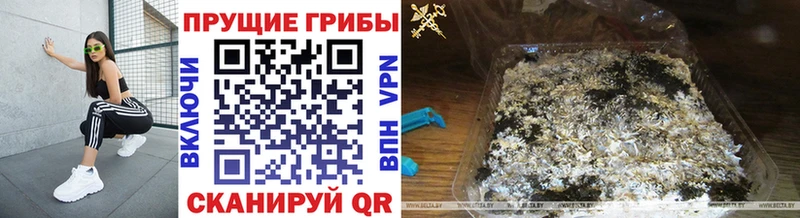 Галлюциногенные грибы Cubensis  Канск 